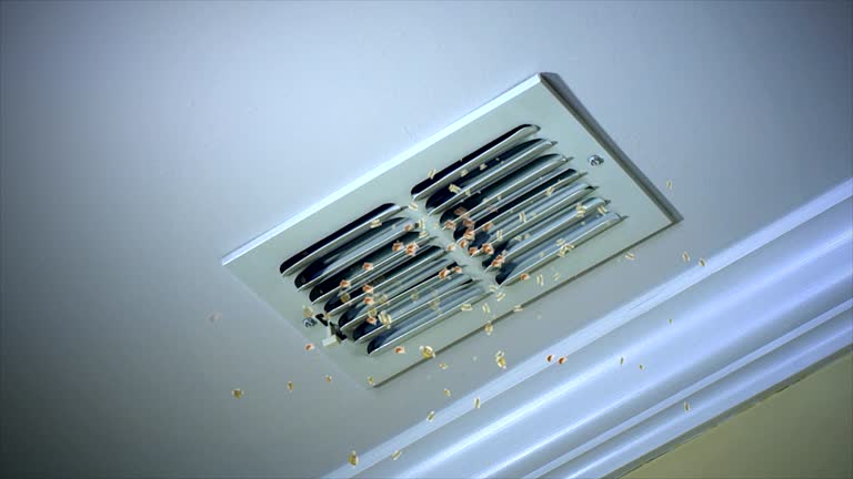 Best Air Duct Cleaning Company Near Me  in Abita Springs, LA